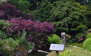 Japanese Garden 2