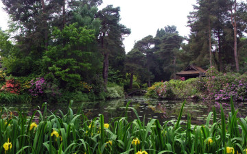 Japanese Garden 3